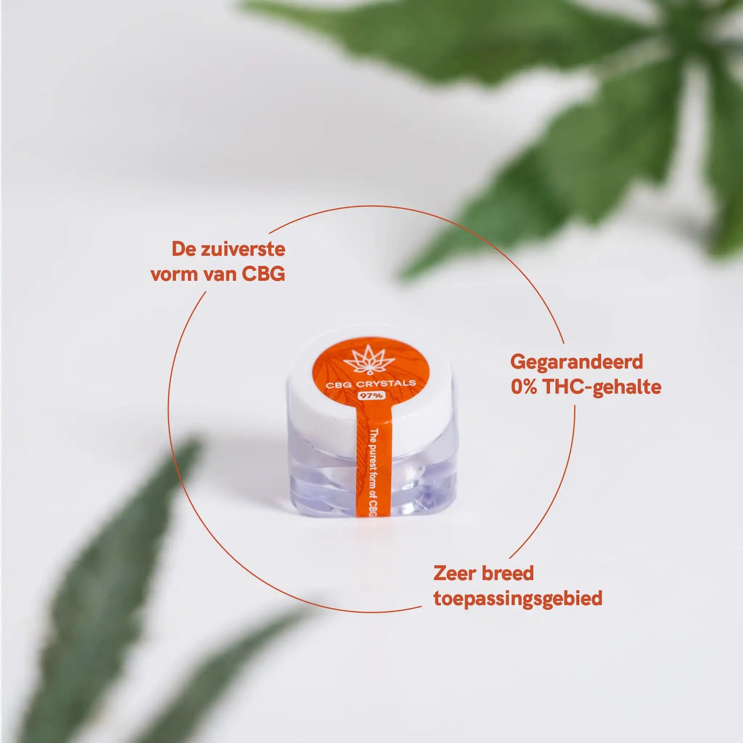 De beste CBG-kristallen