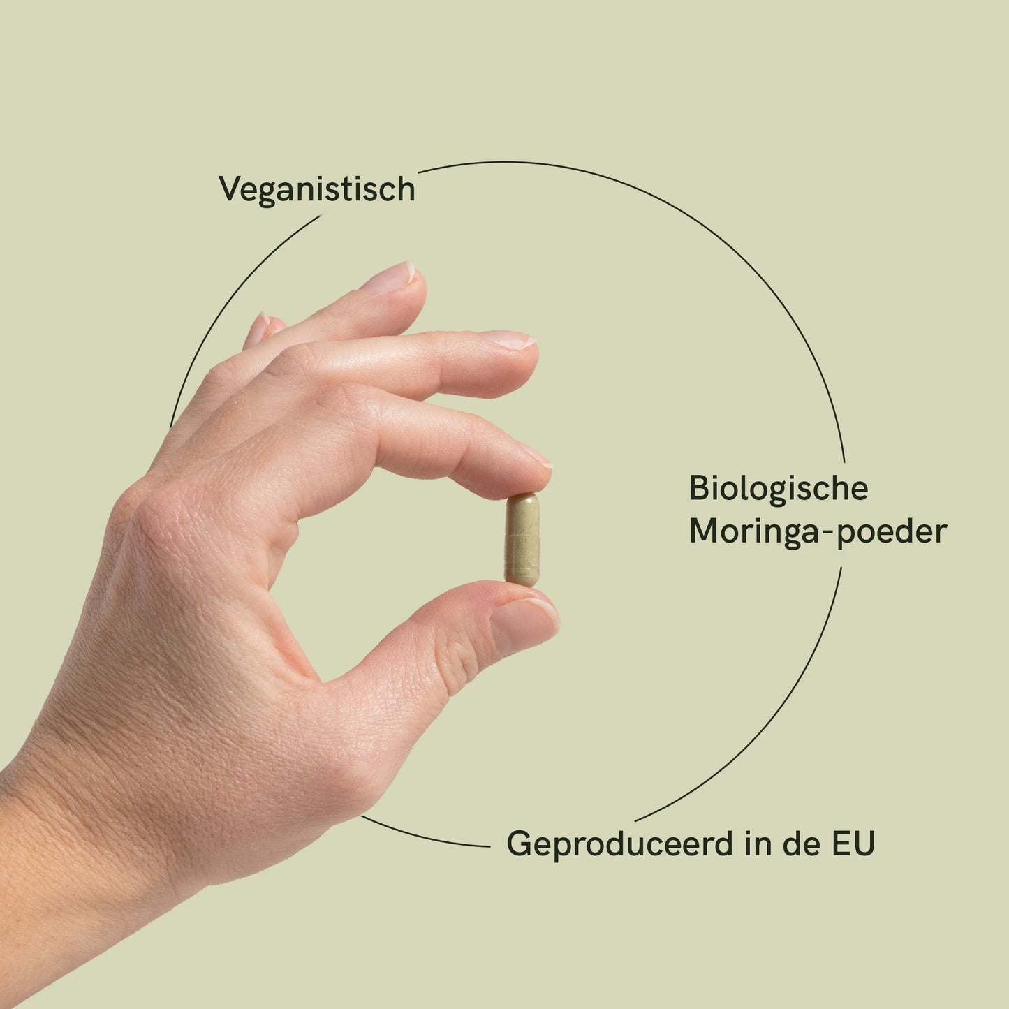 Moringa powder capsules