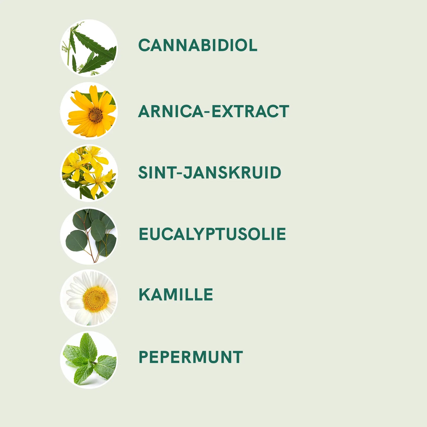 CBD Roll-On
