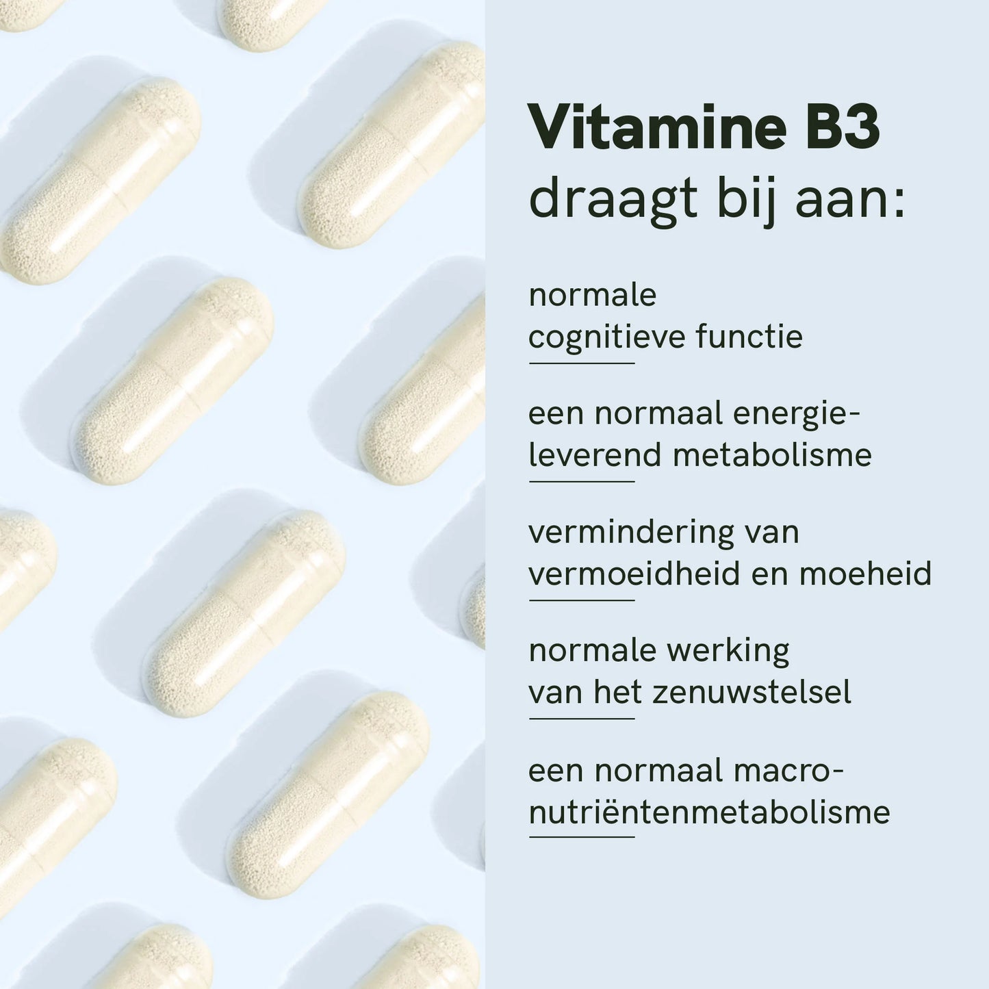 Nicotinamide Riboside (NR) Capsules