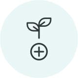 terpene logo