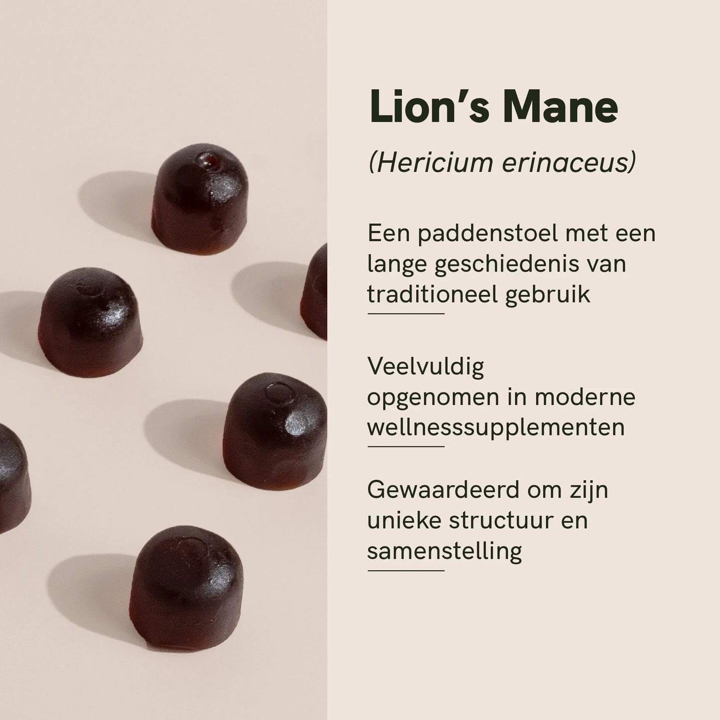 Lion's Mane Gummies