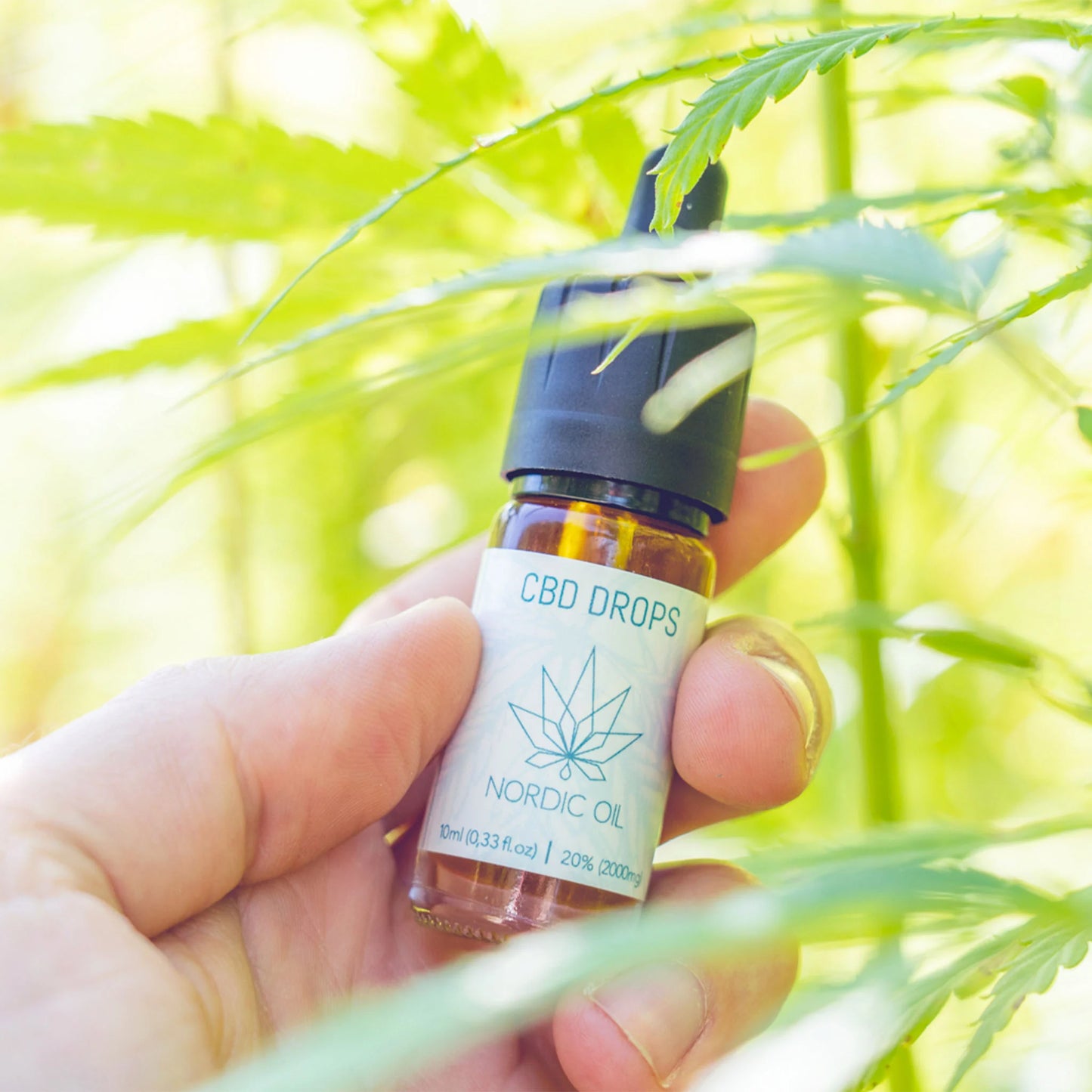 CBD oil (20%) CLASSIC