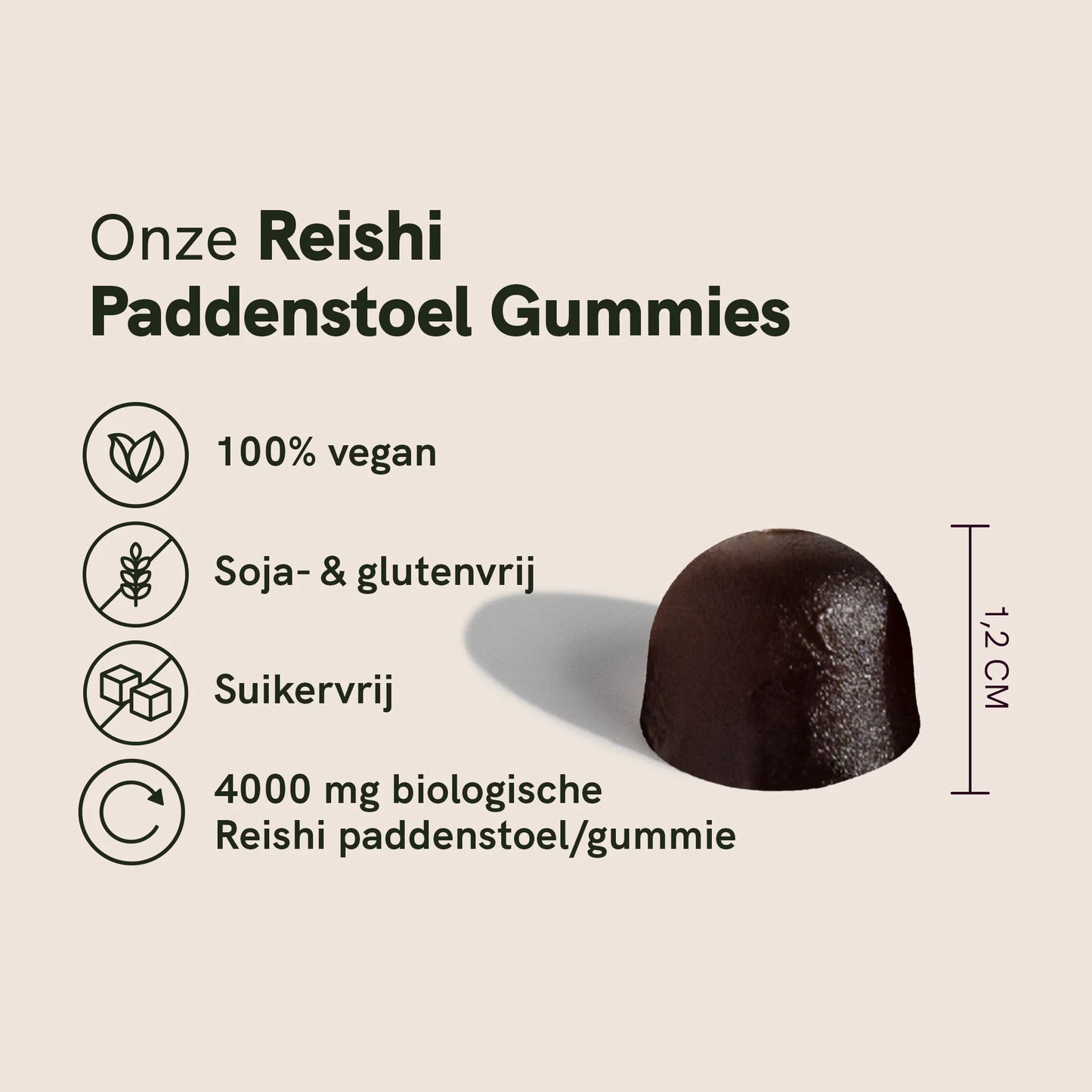 Reishi Gummies