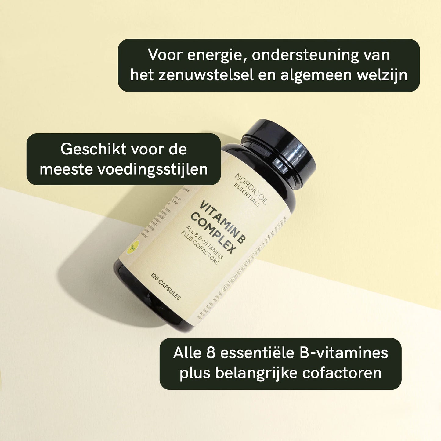Vitamin B complex
