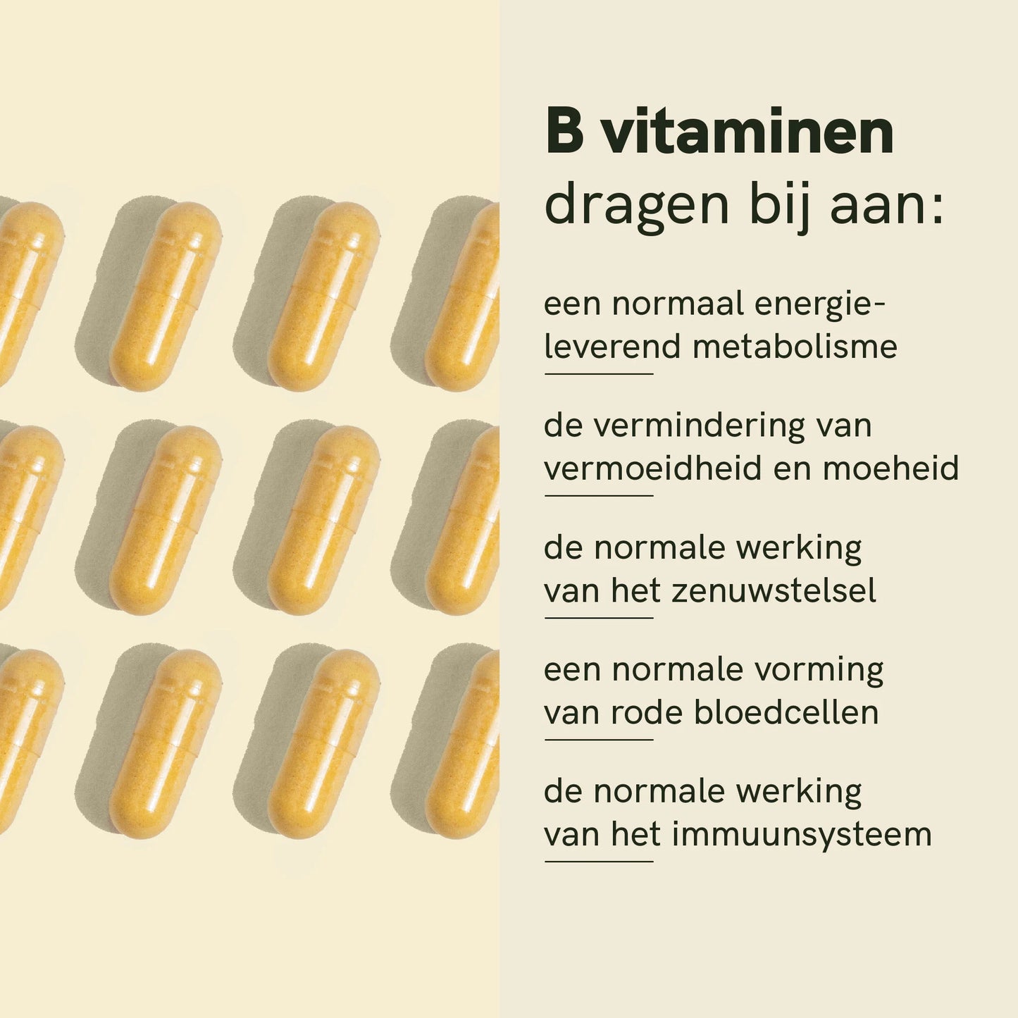 Vitamin B complex